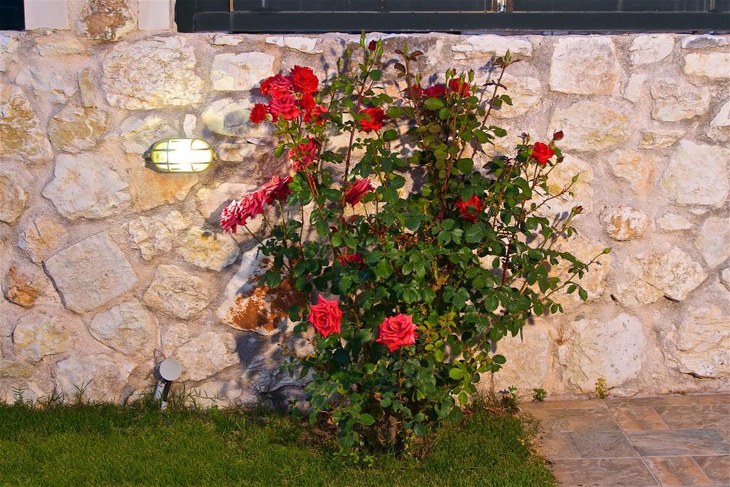 Superb Villa With Private Pool Peaceful Location 萨米 外观 照片